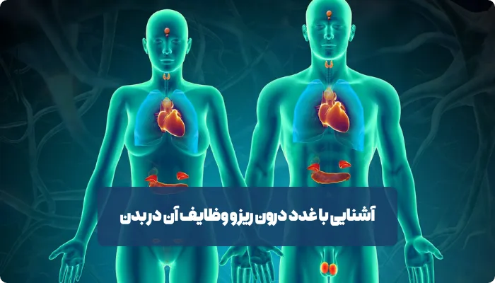 بیماری های غدد چگونه تشخیص داده می‌شوند