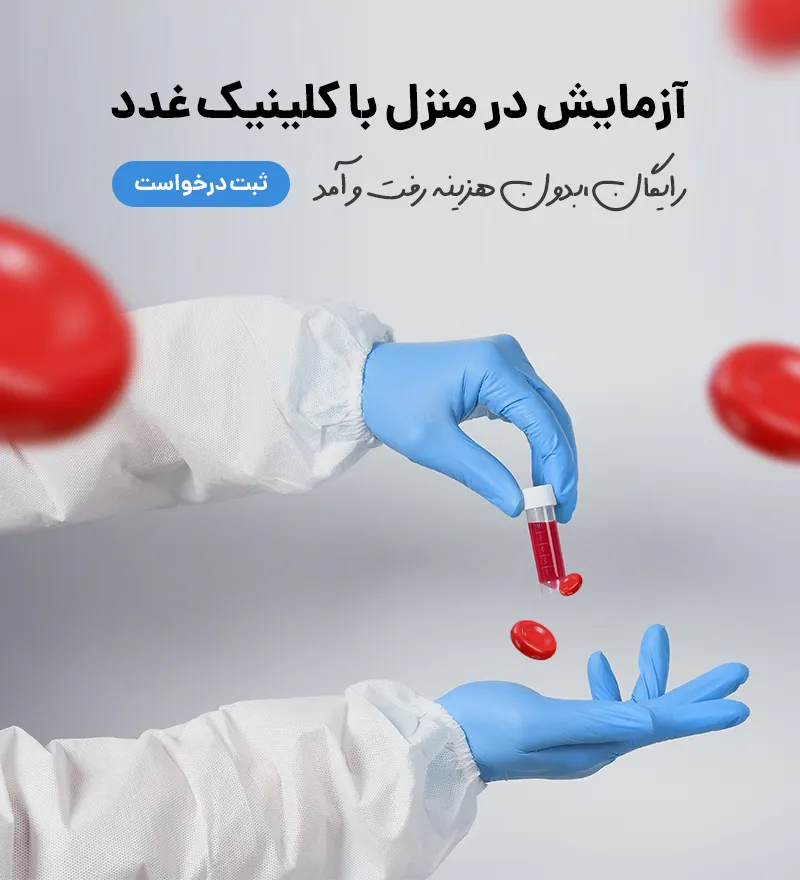 آزمایش در منزل رایگان
